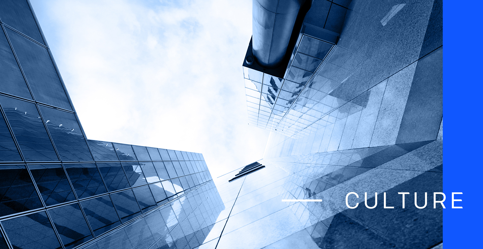 bte·365(中国)体育在线官网